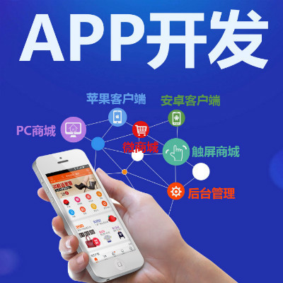 APP在线制作网站公司 全面解析价格、案例与报价，一站式网站和APP开发技术服务指南